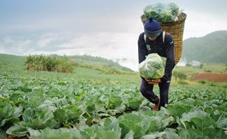 Agriculture and food